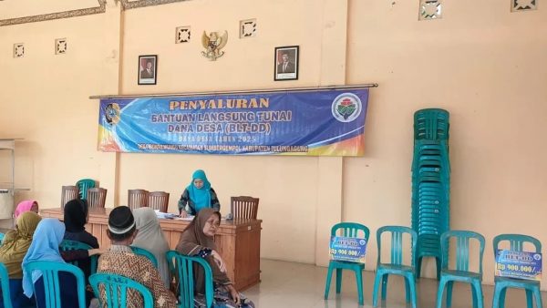 PENYALURAN BLT DD TAHUN ANGGARAN 2025  BULAN JANUARI,FEBRUARI,MARET